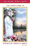 A PILGRIM'S GUIDE TO MARANATHA SPRING & SHRINE: Home of Holy Love Ministries 3rd Edition (English)