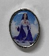Lapel Pin with full color Image of Mary Refuge of Holy Love