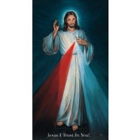 Prayer Card: Divine Mercy Prayer Card 25 pack ENGLISH