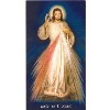 Prayer Card: Divine Mercy Prayer Card 25 pack Spanish
