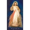 Prayer Card: Divine Mercy Prayer Card 25 pack Spanish