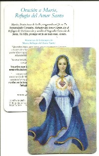 Prayer Card Laminated 5 Pack:  Prayer to Mary, Refuge of Holy Love SPANISH