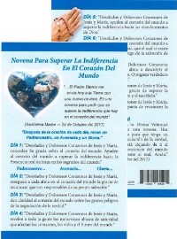 Prayer Card: Novena to Overcome Indifference In the Heart of the World 10 PACK  (SPANISH)